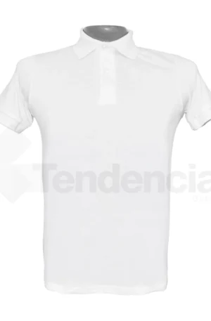 Camiseta Estilo Polo Hombre